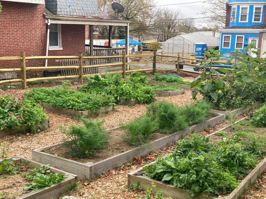 Delaware Center for Horticulture and The Nature Conservancy